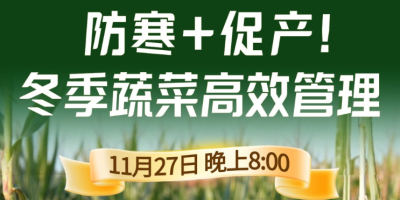《细说农技》专家张宝林教冬季蔬菜防寒 + 促产高效管理，27 日晚 8 点！