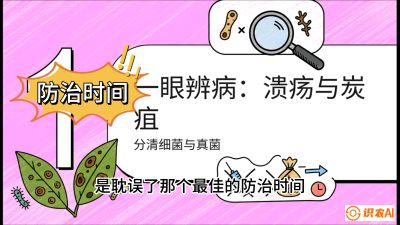 第三节：细菌与真菌&mdash;&mdash;溃疡病与炭疽病，课程：《柑橘十大病虫害：从入门到精通》