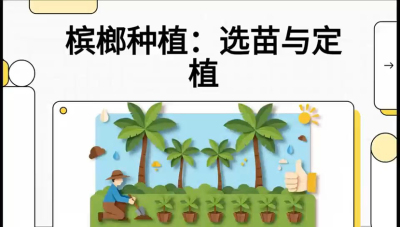 第01节：选苗与定植&mdash;&mdash;&ldquo;苗好一半收，底肥定千秋&rdquo;课程：《槟榔种植：从不懂到精通的10堂必修课》