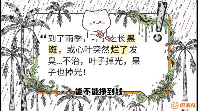 第05节：常见真菌病害&mdash;&mdash;&ldquo;炭疽与烂心，早防值千金&rdquo;《槟榔种植：从不懂到精通的10堂必修课》