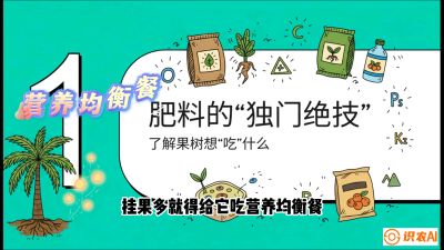 第07节：科学施肥&mdash;&mdash;&ldquo;氮磷钾配好，树壮果不倒