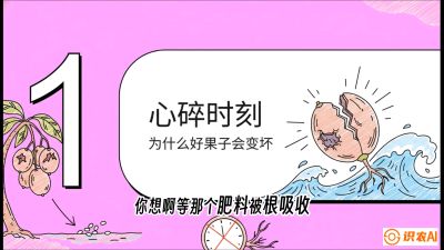 第08节：微量元素与保果&mdash;&mdash;&ldquo;补硼又补钙，果子不裂坏&rdquo;《槟榔种植：从不懂到精通的10堂必修课》