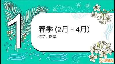 第10节：周年农事日历&mdash;&mdash;&ldquo;跟着节气走，丰产在手头&rdquo;《槟榔种植：从不懂到精通的10堂必修课》