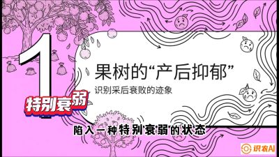 第2节：【冬肥策略】采后&ldquo;月子肥&rdquo;：大小年的精准干预术，课程：《柑橘底肥&ldquo;翻身账&rdquo;：从改土到高产的实战全书》