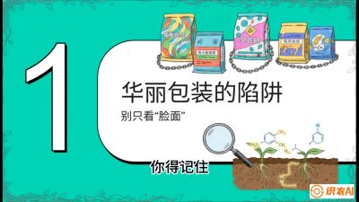 第4节：【黄金配方】底肥里的&ldquo;铁三角&rdquo;与&ldquo;微量雷区&rdquo;课程：《柑橘底肥&ldquo;翻身账&rdquo;：从改土到高产的实战全书》