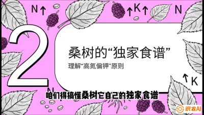 第04节：地下核动力&mdash;&mdash;桑树专用水肥一体化配方，课程：《桑海淘金：桑树高产与蚕桑安全进阶实战课》