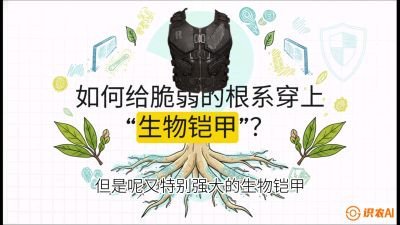 第三节：国产榴莲突围战：根系堡垒，菌根微生态构建与黄金定植窗口，课程：《国产榴莲突围战：从泰国经验到中国实操的8堂必修课（高阶实战版）》