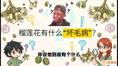 第六节：榴莲的午夜战事，夜间授粉战与花果期避雨策略，课程：《国产榴莲突围战：从泰国经验到中国实操的8堂必修课（高阶实战版）》