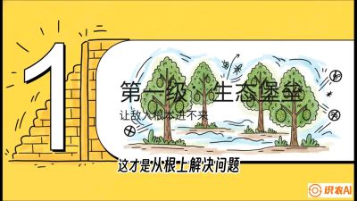 第七节：榴莲防御战：病虫害三级立体防控，疫霉菌与虫害的立体封锁线，课程：《国产榴莲突围战：从泰国经验到中国实操的8堂必修课（高阶实战版）》