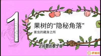 第3节：无人机专治&ldquo;打不透&rdquo;&mdash;&mdash;果树与高杆作物的穿透技巧，课程：《无人机植保搞钱必修课：从&ldquo;瞎飞&rdquo;到&ldquo;懂行&rdquo;的6步进阶》