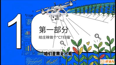 第5节：无人机也能&ldquo;看病抓药&rdquo;&mdash;&mdash;处方图与变量施肥入门，课程：《无人机植保搞钱必修课：从&ldquo;瞎飞&rdquo;到&ldquo;懂行&rdquo;的6步进阶》