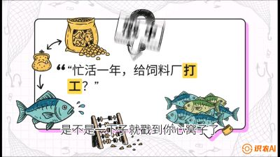 第一节：【选品与规划】如果不养&ldquo;四大家鱼&rdquo;，我们还能养什么？,课程：《黄金鳞甲：2025中国淡水鱼高效养殖实战营》