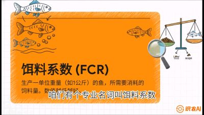 第五节：【高端单品&middot;鳜鱼】&ldquo;饲料鳜&rdquo;技术：打破吃活饵的高成本魔咒，课程：《黄金鳞甲：2025中国淡水鱼高效养殖实战营》