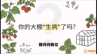 第2节（解毒篇）： 大棚里的&ldquo;红白绿&rdquo;警报&mdash;&mdash;读懂土壤盐渍化的求救信号，课程：《揭秘土壤的秘密：让土地帮你赚钱》#识农AI