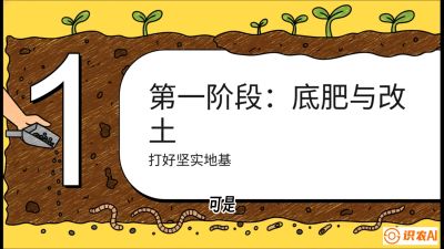 第6节（统筹篇）： 省钱又增产的&ldquo;黄金配比&rdquo;&mdash;&mdash;不同作物全年的养土实操方案，课程：《揭秘土壤的秘密：让土地帮你赚钱》#识农AI
