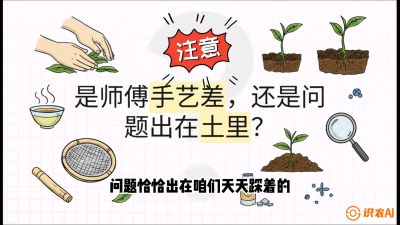 第02节（土肥篇）：告别&ldquo;苦涩水味&rdquo;：揭秘&ldquo;碳氮比&rdquo;调控术，种出自带兰花香的好茶底，课程：《茶金时代：从&ldquo;看天吃饭&rdquo;到&ldquo;精准控局&rdquo;的茶叶高产提质实战课》