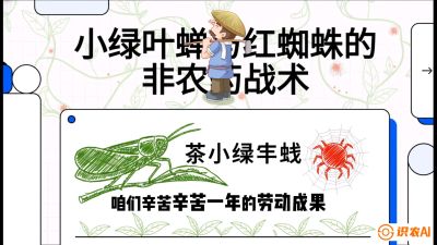 第03节（虫害篇）：看不见的吸血鬼：小绿叶蝉与红蜘蛛的&ldquo;非农药&rdquo;团灭战术（抗性治理），课程：《茶金时代：从&ldquo;看天吃饭&rdquo;到&ldquo;精准控局&rdquo;的茶叶高产提质实战课》