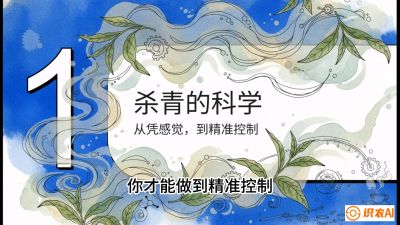 第05节（加工篇）：决胜2分钟：用&ldquo;数字温控&rdquo;破解杀青不匀，复刻大师级手工口感，课程：《茶金时代：从&ldquo;看天吃饭&rdquo;到&ldquo;精准控局&rdquo;的茶叶高产提质实战课》