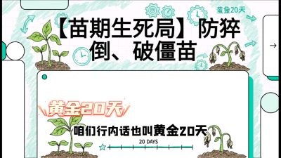 第2节：【苗期生死局】防猝倒、破僵苗，决定后期产量的&ldquo;黄金20天&rdquo;，课程：《辣椒种植实战特训营，从工业辣椒到精品小米辣，教你如何把&ldquo;草&rdquo;种成&ldquo;金&rdquo;》
