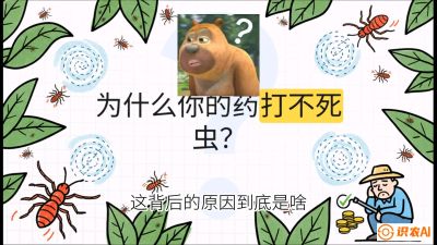 第4节：【虫害歼灭战】打不死的蓟马、隐形的茶黄螨：抗性时代的&ldquo;混配绝杀&rdquo;，课程：《辣椒种植实战特训营，从工业辣椒到精品小米辣，教你如何把&ldquo;草&rdquo;种成&ldquo;金&rdquo;》