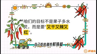 第7节：【工业辣椒专场】追求极致辣度！干物质提升与机械化采收的&ldquo;催红秘籍&rdquo;，课程：《辣椒种植实战特训营，从工业辣椒到精品小米辣，教你如何把&ldquo;草&rdquo;种成&ldquo;金&rdquo;》