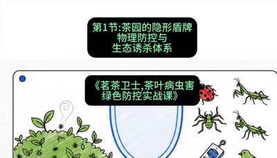 第01节：茶园的&ldquo;隐形盾牌&rdquo;&mdash;&mdash;物理防控与生态诱杀体系，课程：《茗茶卫士&mdash;&mdash;茶叶病虫害绿色防控实战课》#识农AI