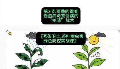 第03节：雨季的霉变&mdash;&mdash;炭疽病与茶饼病的&ldquo;抢晴&rdquo;战术，课程：《茗茶卫士&mdash;&mdash;茶叶病虫害绿色防控实战课》#识农AI