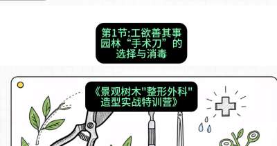 第01节：工欲善其事&mdash;&mdash;园林&ldquo;手术刀&rdquo;的选择与消毒，课程：《景观树木&ldquo;整形外科&rdquo;造型实战特训营》#识农AI