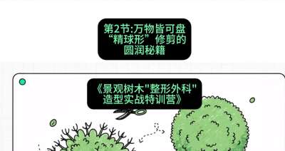 第02节：万物皆可盘&mdash;&mdash;&ldquo;精球形&rdquo;修剪的圆润秘籍，课程：《景观树木&ldquo;整形外科&rdquo;造型实战特训营》#识农AI