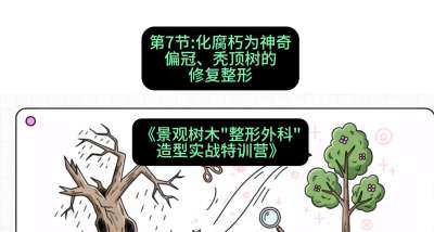 第07节：化腐朽为神奇&mdash;&mdash;偏冠、秃顶树的修复整形，课程：《景观树木&ldquo;整形外科&rdquo;造型实战特训营》#识农AI