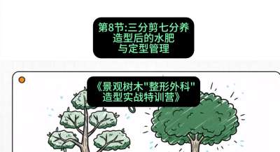 第08节：三分剪七分养&mdash;&mdash;造型后的水肥与定型管理，课程：《景观树木&ldquo;整形外科&rdquo;造型实战特训营》#识农AI