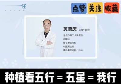 中药材淫羊藿怎么种？听专家一次讲明白！不挑地块好管理，耐寒耐旱省心省力，新手也能轻松上手，药用价值高、市场需求稳，妥妥的增收好品种～ 从生长习性到采收要点，干货满满无废话，种植疑问直接问，一对一答疑解