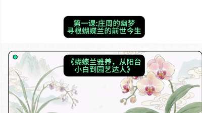 第一节：庄周的幽梦：寻根蝴蝶兰的前世今生，课程：《蝴蝶兰雅养六讲：从阳台小白到园艺达人》#识农AI