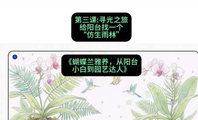 第三节：寻光之旅：给阳台找一个&ldquo;仿生雨林&rdquo;，课程：《蝴蝶兰雅养六讲：从阳台小白到园艺达人》#识农AI