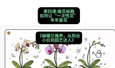 第四节：催花秘籍：如何让&ldquo;一次性花&rdquo;年年复花，课程：《蝴蝶兰雅养六讲：从阳台小白到园艺达人》#识农AI