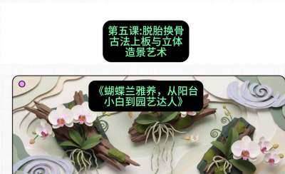 第五节：脱胎换骨：古法上板与立体造景艺术，课程：《蝴蝶兰雅养六讲：从阳台小白到园艺达人》#识农AI