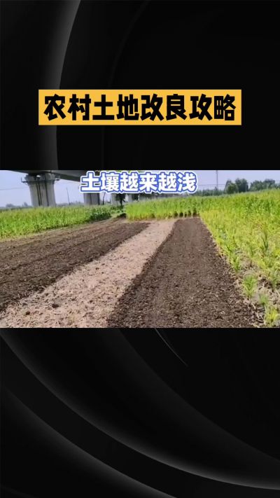 1. 先搞懂：你到底要改良哪块地、种什么
 
- 土土土在哪里？
就是你自家农田、菜地、果园，哪块地想种庄稼，就测哪块地的土。
​
- 有水没有水？
有水能浇：改良更省事，施肥、调酸碱都好操作。
没水