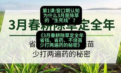 第1节：窗口期认知，为什么3月是除草的&ldquo;生死线&rdquo;？，课程：《3月春耕除草定全年：省钱、省药、不烧苗、少打两遍药的秘密》