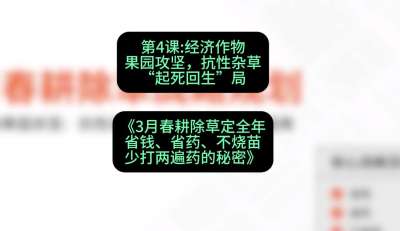 第4节：经济作物果园攻坚，抗性杂草&ldquo;起死回生&rdquo;局，课程：《3月春耕除草定全年：省钱、省药、不烧苗、少打两遍药的秘密》